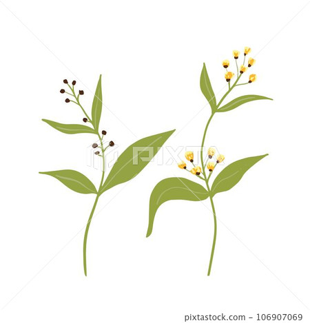 Vector set with floral elements, leaves Vector set with floral elements, leaves 106907069