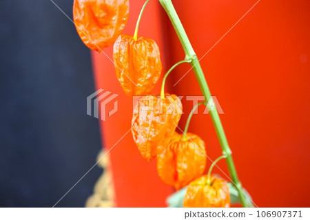 面頰城市的王冠 106907371