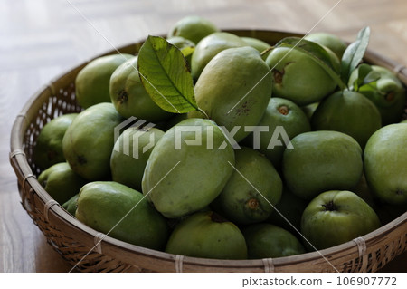 藍木瓜果 藍木瓜果 106907772