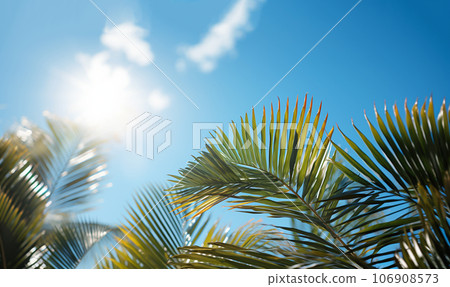 Tropical palm leaves frame in blue sky.Palm sunday concept: Leaves frame of coconut branches with cloudy blue sky background summer Holiday concept. Template vacation and travel,tourism Tropical palm leaves frame in blue sky.Palm sunday concept: Leaves frame of coconut branches with cloudy blue sky background summer Holiday concept. Template vacation and travel,tourism 106908573