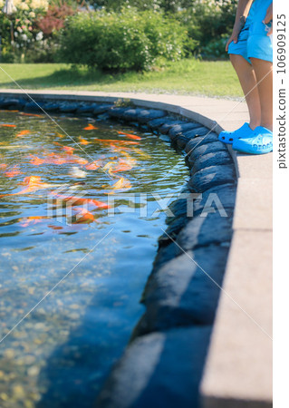 A child looking into a koi pond A child looking into a koi pond 106909125