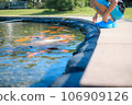 一個孩子看著錦鯉池 106909126