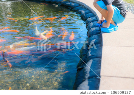 一個孩子看著錦鯉池 106909127