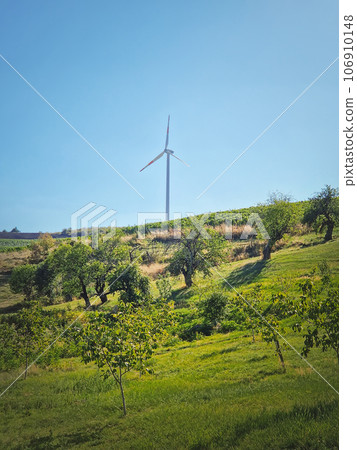 Wind turbine on the top of a hill over the country valley with vineyard and fruit trees. Green energy conservation and environmental concepts Wind turbine on the top of a hill over the country valley with vineyard and fruit trees. Green energy conservation and environmental concepts 106910148