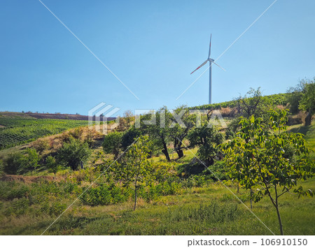 Wind turbine on the top of a hill over the country valley with vineyard and fruit trees. Green energy conservation and environmental concepts 106910150