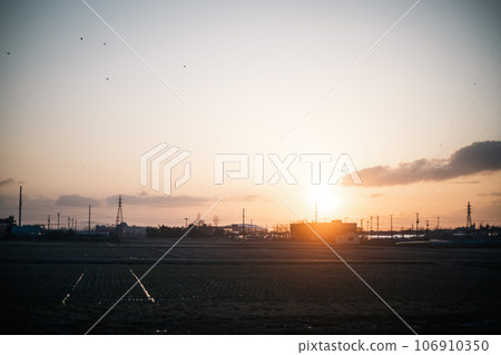 沐浴夕陽的郊區和候鳥 沐浴夕陽的郊區和候鳥 106910350