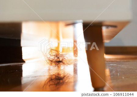 Dusty dirty floor with clump of hair on shining parquet under furniture in living room. Close-up, low angle view. Cleaning service and alopecia concept 106911044