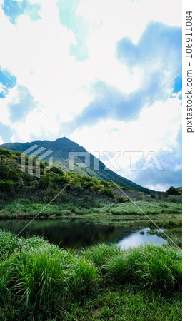 Rain pond filled with water from rain 106911084