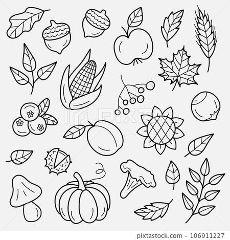 Autumn harvest symbols. Set of hand-drawn autumn elements. Leaves, berries, fruits, vegetables, mushrooms, acorns. Vector illustration in doodle style 106911227