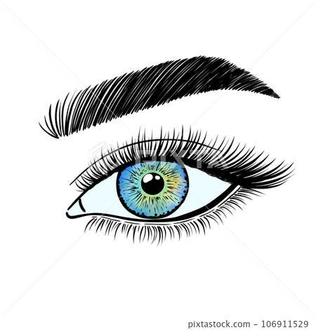 Female eyes in a linear style Female eyes in a linear style 106911529