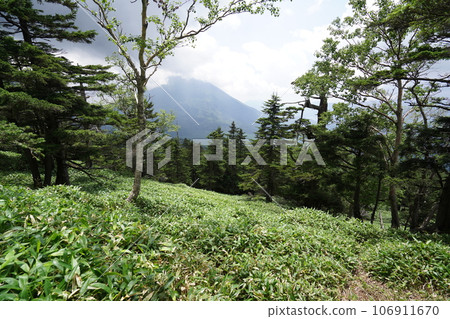 從栃木縣奧日光市三王山海拔2077m的山頂眺望男體山 106911670