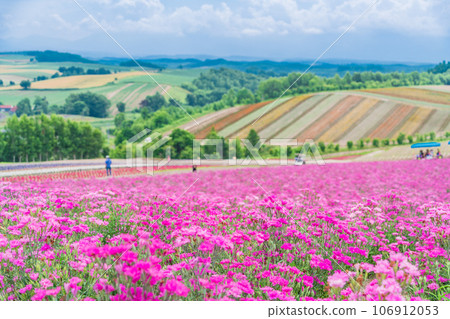 （北海道）美瑛/四季彩之丘 色彩繽紛的花園 106912053