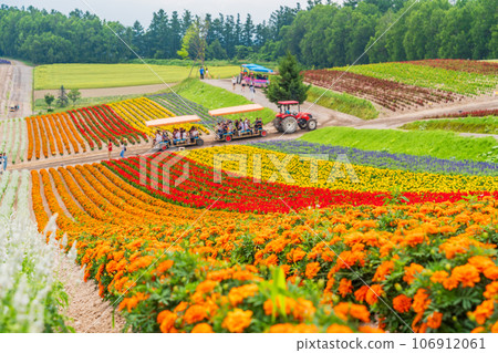 （北海道）美瑛/四季彩之丘 色彩繽紛的花園 106912061