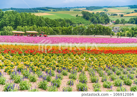 （北海道）美瑛/四季彩之丘 色彩繽紛的花園 106912084