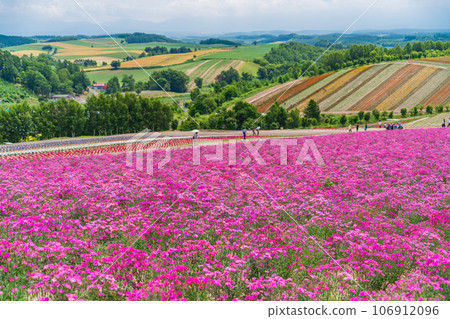 （北海道）美瑛/四季彩之丘 色彩繽紛的花園 106912096