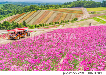 (北海道)美瑛/四季彩之丘 色彩繽紛的花園 (北海道)美瑛/四季彩之丘 色彩繽紛的花園 106912099