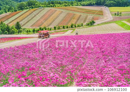 （北海道）美瑛/四季彩之丘 色彩繽紛的花園 106912100