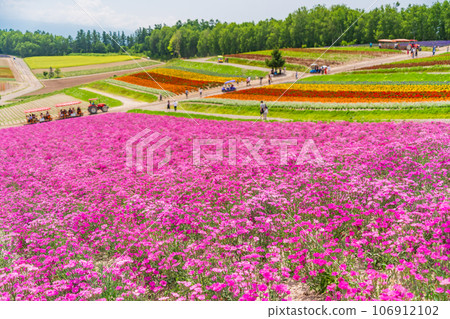 （北海道）美瑛/四季彩之丘 色彩繽紛的花園 106912102