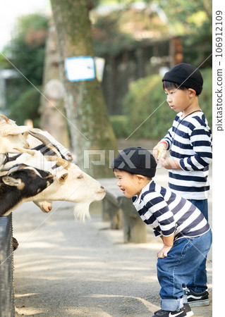 孩子餵養動物 106912109