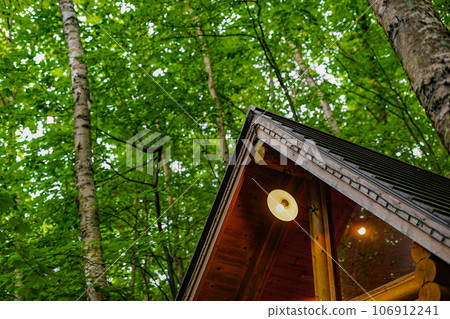 Image of a lodge standing in the forest Image of a lodge standing in the forest 106912241