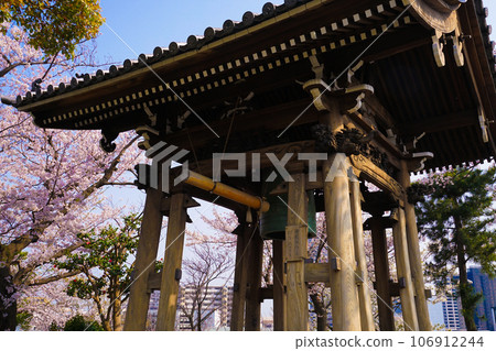 Bell and cherry blossoms of the night Bell and cherry blossoms of the night 106912244