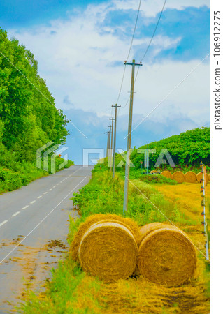 Image of grasslands in Hokkaido 106912275