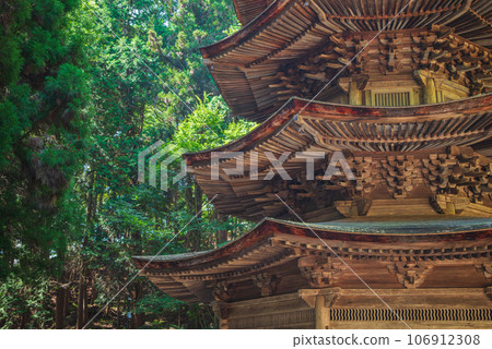 [國寶]安樂寺八角三層塔[別所溫泉] 106912308