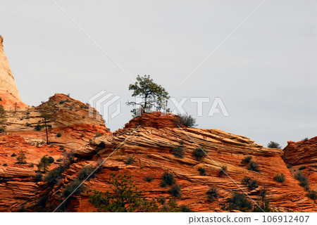Zion National Park Zion National Park 106912407