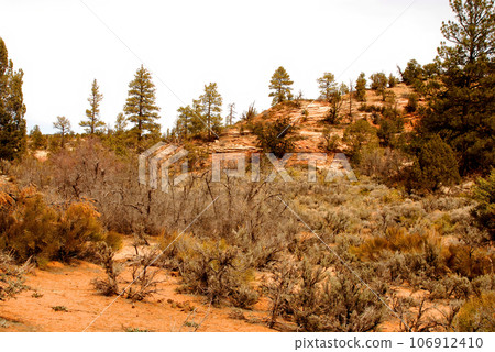 Zion National Park Zion National Park 106912410