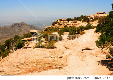 East Tucson Sonora Desert Arizona 106912416