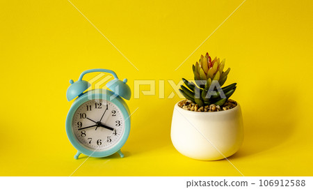 Alarm clock and a pot of flowers on a yellow background, Alarm clock and a pot of flowers on a yellow background, 106912588