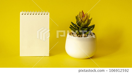 Blank desktop notebook with cactus pot on a yellow background Blank desktop notebook with cactus pot on a yellow background 106912592
