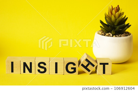 The word insight on wooden blocks and with a cactus pot on a yellow background . The word insight on wooden blocks and with a cactus pot on a yellow background . 106912604