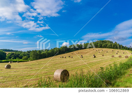 Hillside grass roll 106912869