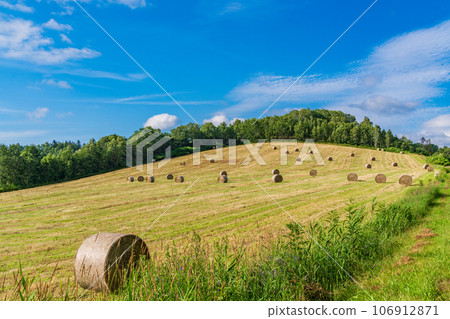 山坡草卷 106912871