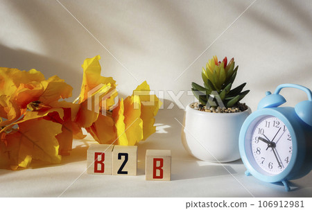 B2B word letters on wooden blocks. Clock, cactus and yellow branch on a white background . 106912981