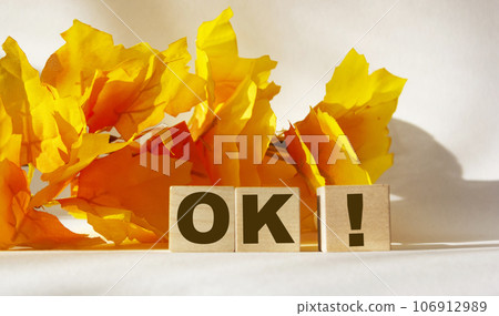 Word OK made from wooden cubes on a white background framed by yellow foliage 106912989