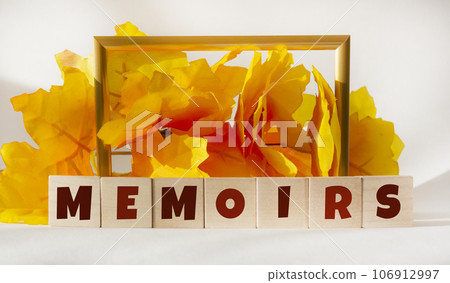 The word Memoirs on wooden blocks with a beautiful vintage background The word Memoirs on wooden blocks with a beautiful vintage background 106912997