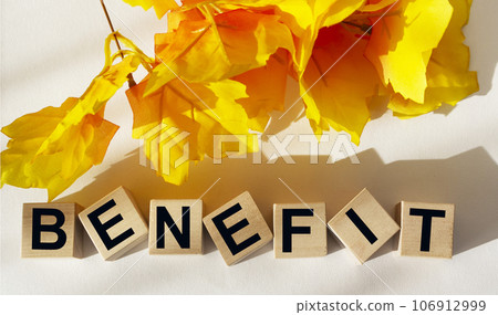 The word benefits is written on wooden cubes on a white background with foliage lying nearby 106912999