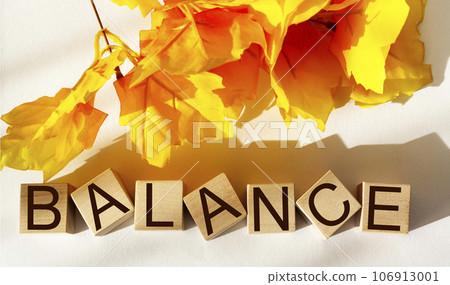 Text balance concept on wooden cubes isolated on white background with foliage in the background. Text balance concept on wooden cubes isolated on white background with foliage in the background. 106913001