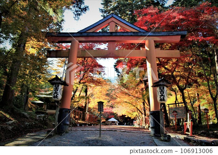 日吉大社秋葉 106913006
