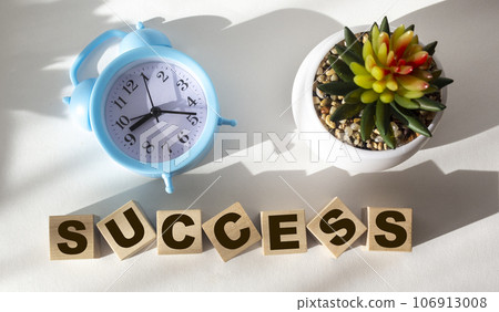 The word success written on a wooden block and a white background, near an alarm clock and a cactus. The word success written on a wooden block and a white background, near an alarm clock and a cactus. 106913008