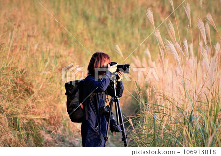 Camera girl taking pictures of pampas grass 106913018