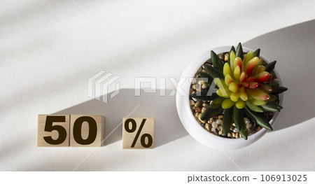 50 percent written on wooden blocks on a white background near a cactus. Place for text 50 percent written on wooden blocks on a white background near a cactus. Place for text 106913025