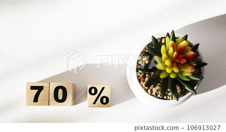 Wooden cubes with the inscription 70 OFF on a white background with a cactus Wooden cubes with the inscription 70 OFF on a white background with a cactus 106913027