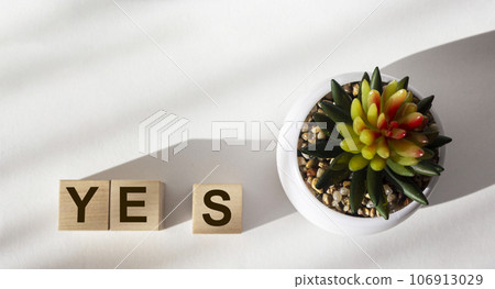 Message spells Yes on white background. Business, motivation and education concept Message spells Yes on white background. Business, motivation and education concept 106913029