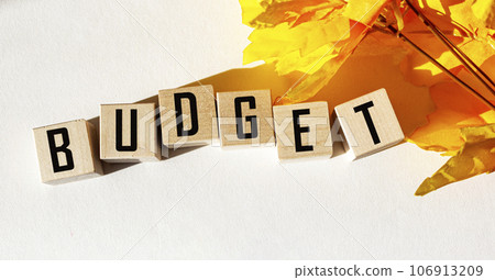 Business concept for planning a new year. On wooden cubes the word BUDGET on a white background. Business concept for planning a new year. On wooden cubes the word BUDGET on a white background. 106913209