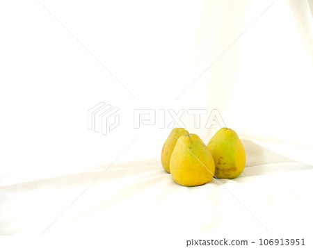 柚子02 柚子02 106913951