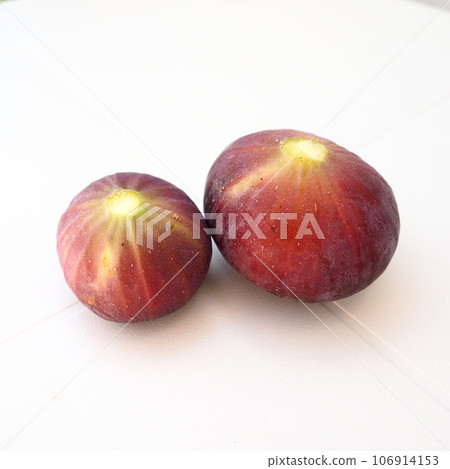 Fig or fig tree, or common fig tree, or Ficus carica is a subtropical deciduous plant of the genus Ficus of the Mulberry family. Ripe purple fig fruits on a light background. Healthy food. Fig or fig tree, or common fig tree, or Ficus carica is a subtropical deciduous plant of the genus Ficus of the Mulberry family. Ripe purple fig fruits on a light background. Healthy food. 106914153