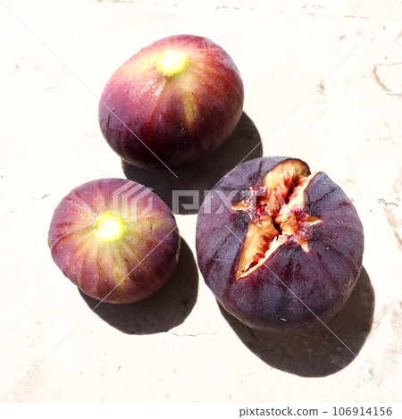 Fig or fig tree, or common fig tree, or Ficus carica is a subtropical deciduous plant of the genus Ficus of the Mulberry family. Ripe purple fig fruits on a light background. Healthy food. Fig or fig tree, or common fig tree, or Ficus carica is a subtropical deciduous plant of the genus Ficus of the Mulberry family. Ripe purple fig fruits on a light background. Healthy food. 106914156